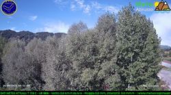Tagliacozzo
