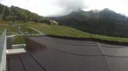Ayas