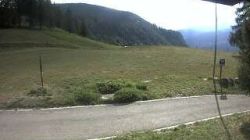 Chamois