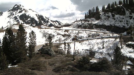pista bosco