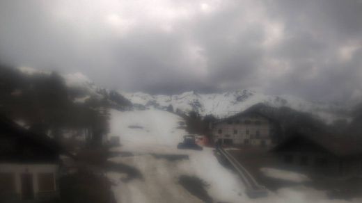 Chamois Lago di Lod