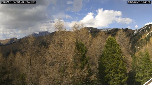 Alba di Canazei Pozza di Fassa Buffalure