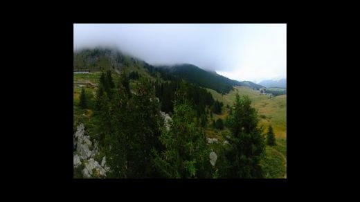 Lenzerheide Arosa: Stiftung - Bären