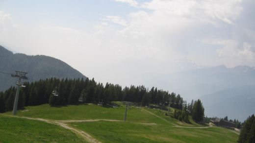 Aprica
