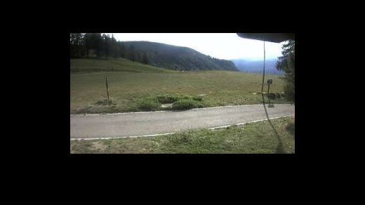 Chamois Chamois