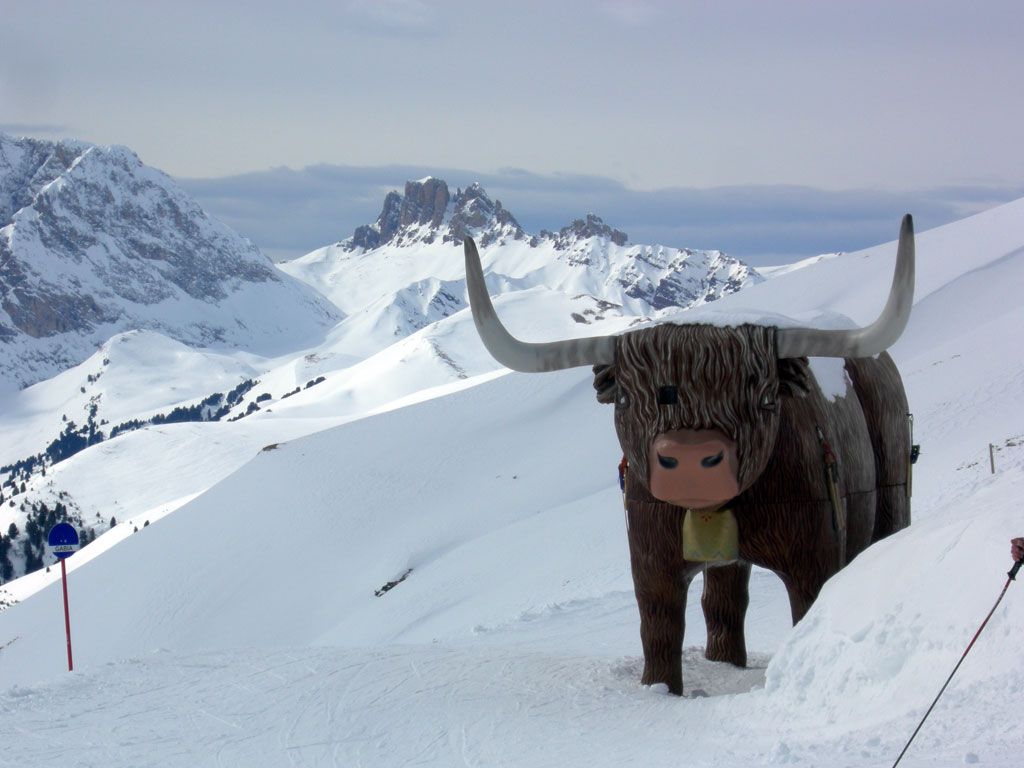 nel rifugio sotto il col Rodella