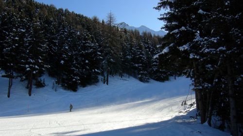 Pista 3 Gorraz nel bosco