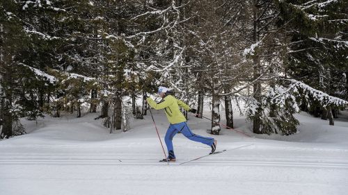 Viaggio nelle località che hanno fatto del Trentino la patria degli sci stretti