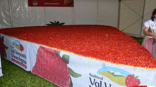 Val Martello, una torta di fragole di 25 mq da il via alla Festa della Fragola 2016