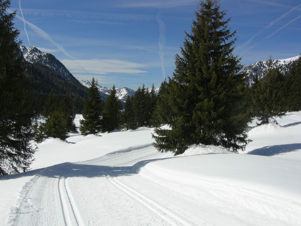 Passo San Pellegrino - Moena