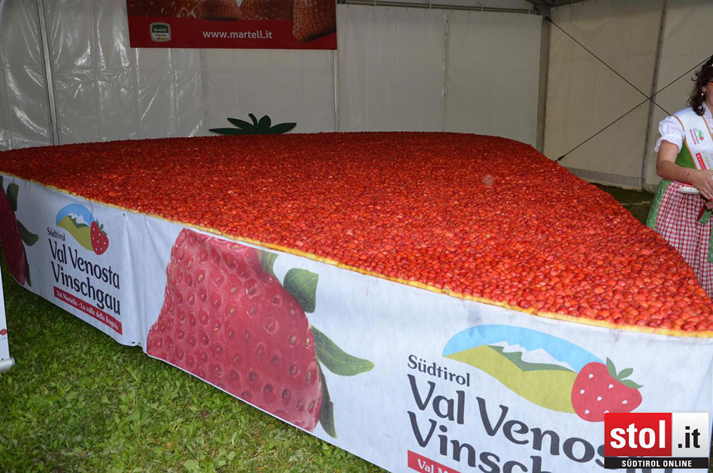 Val Martello, una torta di fragole di 25 mq da il via alla Festa della Fragola 2016