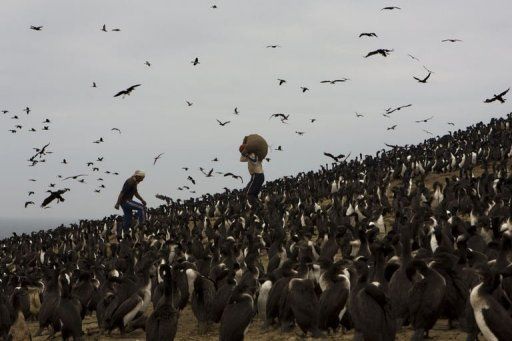 Janos Richter
ITALIA, 2010 / DURATA: 28'
Un'inospitale isola rocciosa vicino alle coste del Perù. Nessun terreno fertile, niente acqua, ma centinaia di migliaia di uccelli. Per un periodo di dieci anni, soltanto due sorveglianti possono vivere a Guañape Sur. 
