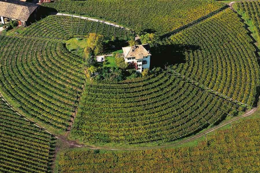 Il Törggelen? In Alto Adige si festeggia lungo il 'Sentiero del castagno'