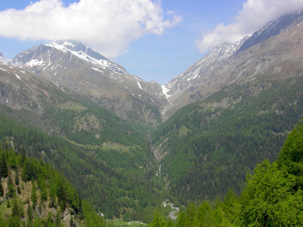 Vista dal rifugio Gerli