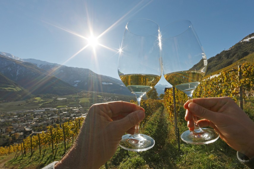 Vino in Festa, un mese per conoscere i vini di montagna dell'Alto Adige