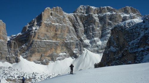 cinghialotto sull'armentarola