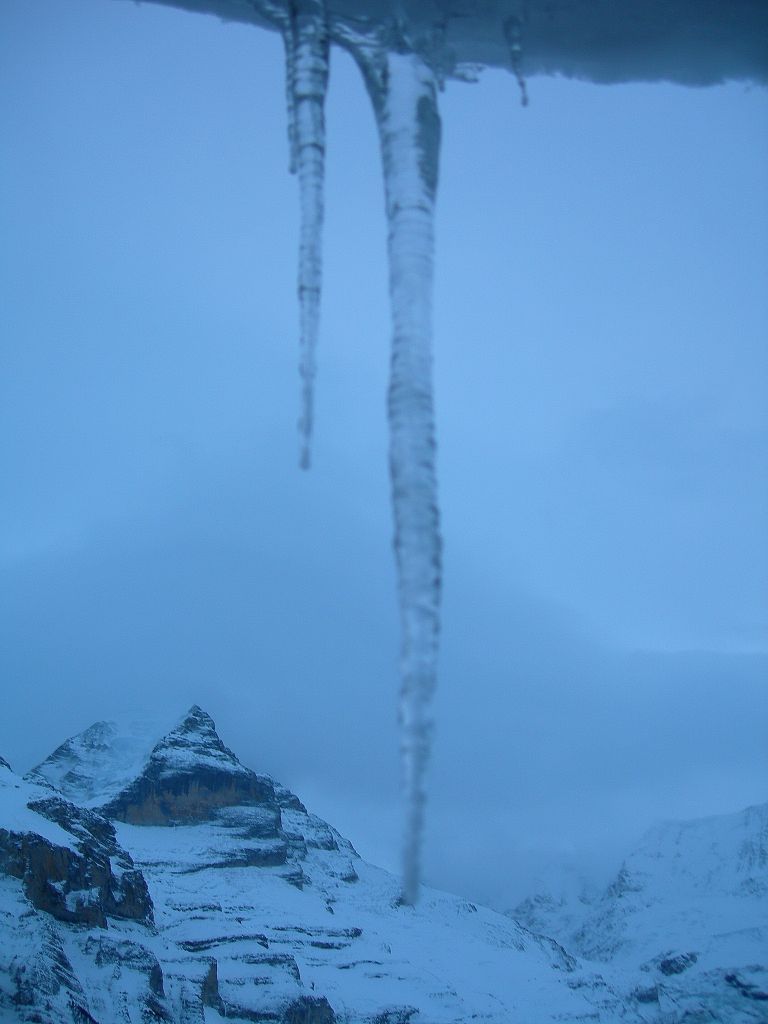 Hotel Alpenruh - Muerren