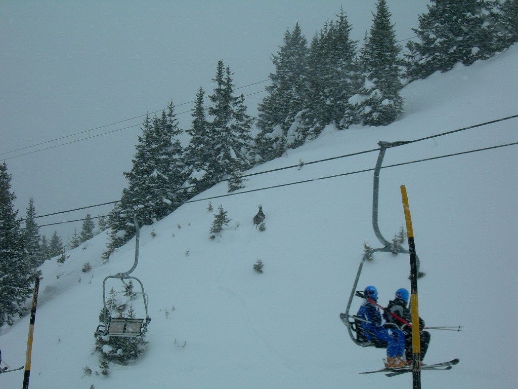 Maulerhubel (Muerren)