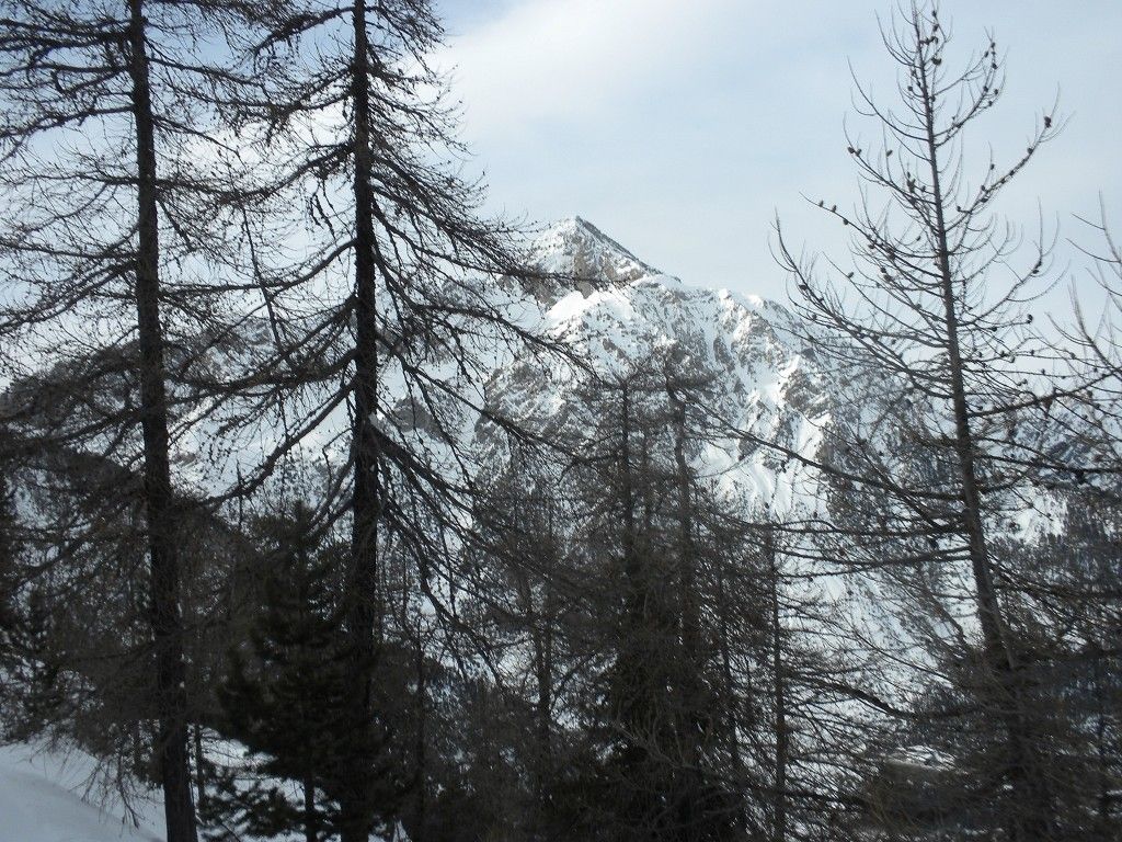 ...e la nostra versione delle olimpiadi finisce