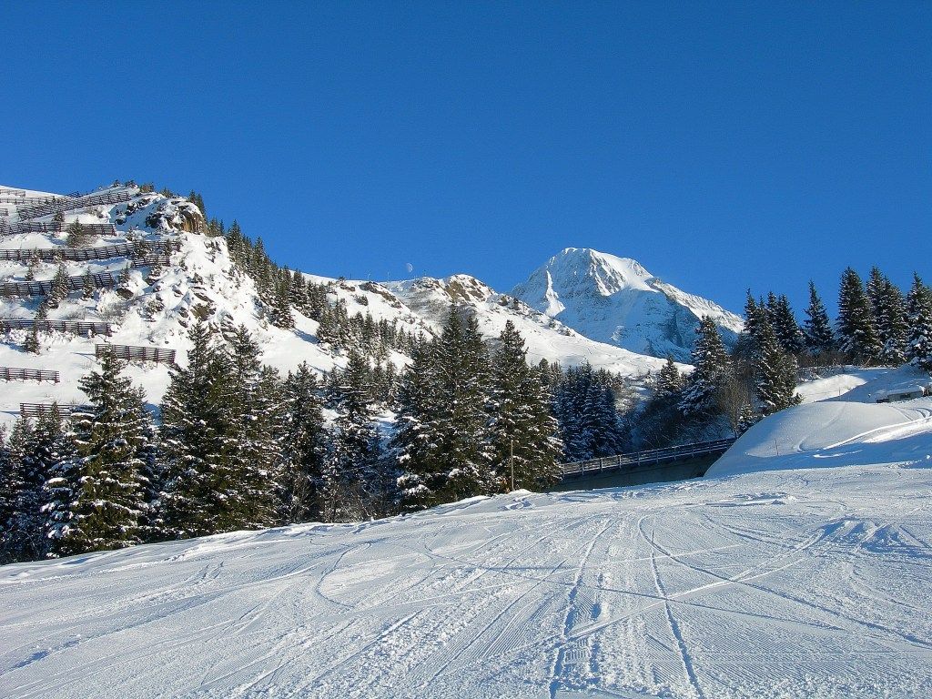 Wengen