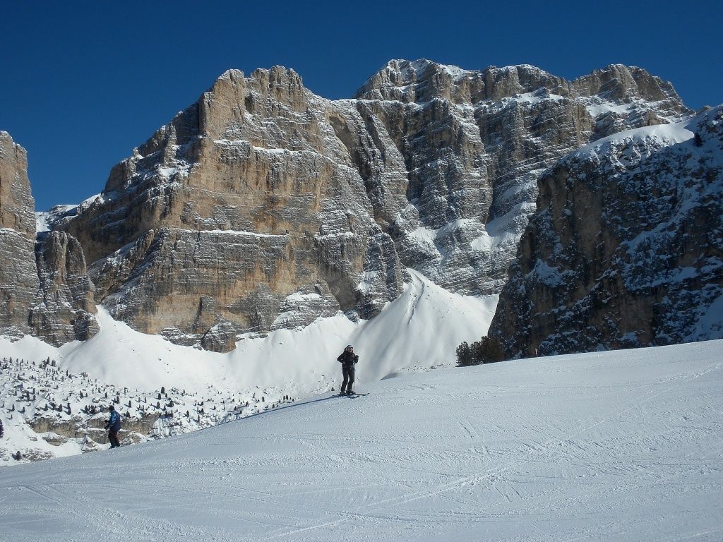 cinghialotto sull'armentarola