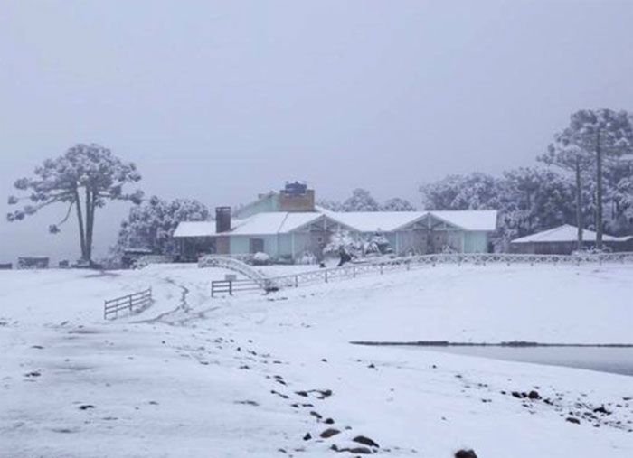 Neve brasile