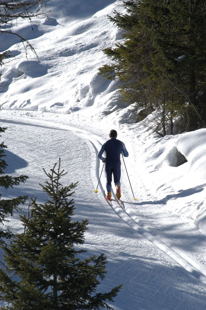 A.I.A.T. Cogne Gran Paradiso