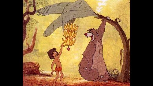 Baloo