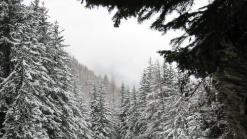 La Valle d'Aosta cala il tris per l'inverno