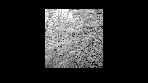 In arrivo finalmente la Neve.