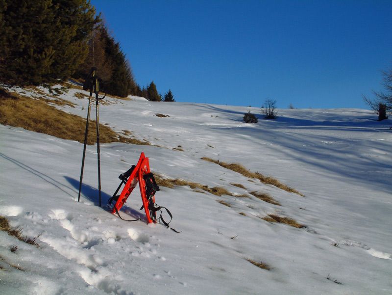 Passeggiata per i boschi di Aprica