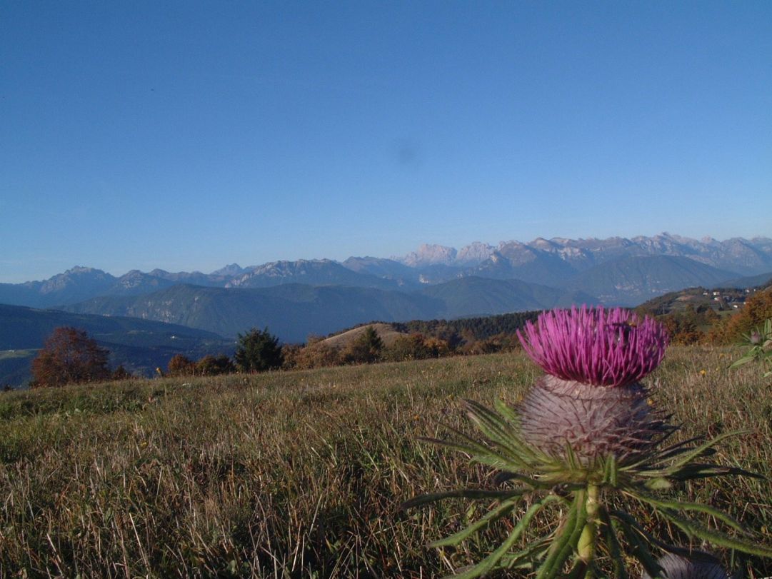 Alpenise - Casa Natura