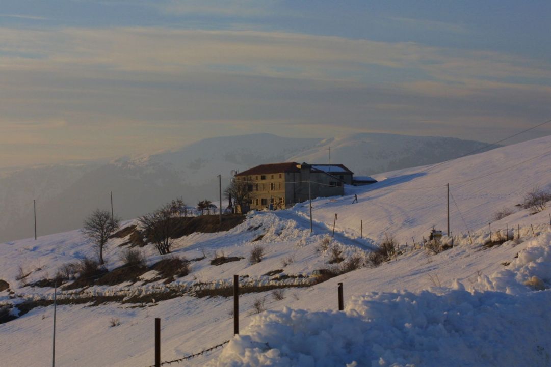 Alpenise - Casa Natura