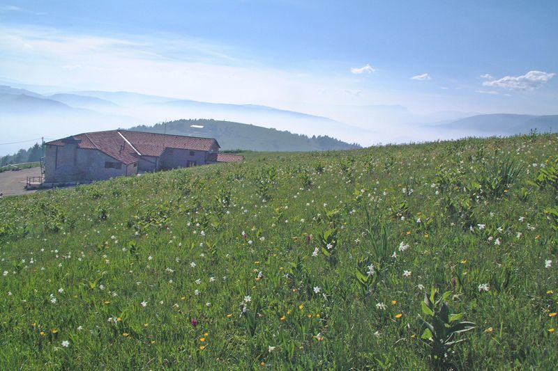 Alpenise - Casa Natura