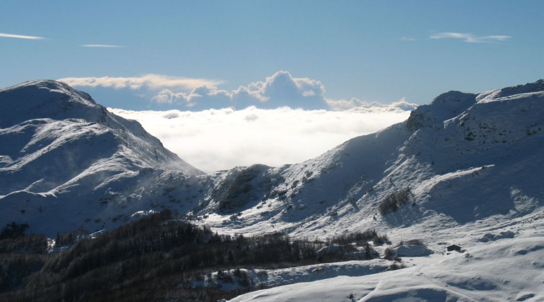 primaneve 10-12-07