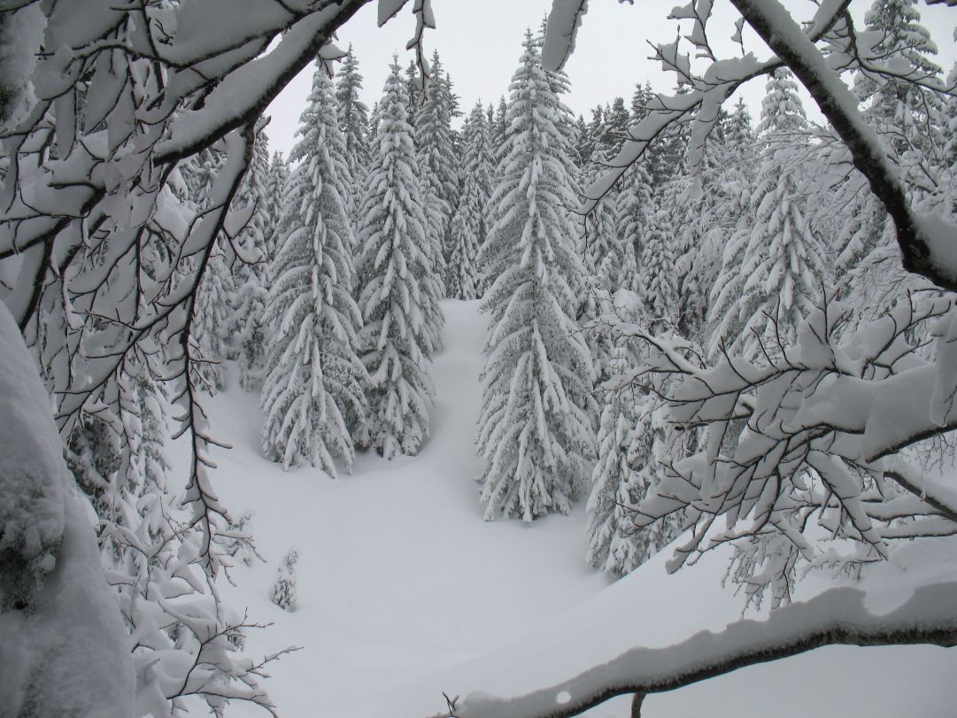 neve abbondante all'Abetone