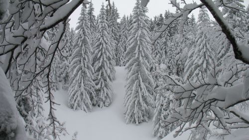 neve abbondante all'Abetone