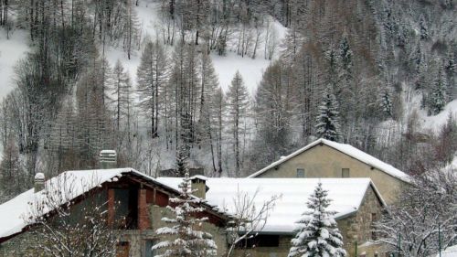 12/1/08 al cotolivier