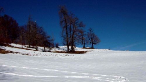 19 Gennaio p. 