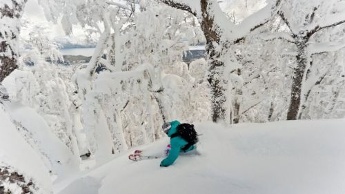 Fuoripista nei boschi di Cerro Bayo
