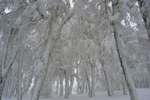 Chapelco, atmosfere fiabesche