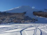 Ushuaia - Cerro Castor: Sciare alla 