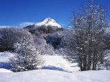 Ushuaia - Cerro Castor: Sciare alla 