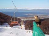 Ushuaia - Cerro Castor: Sciare alla 