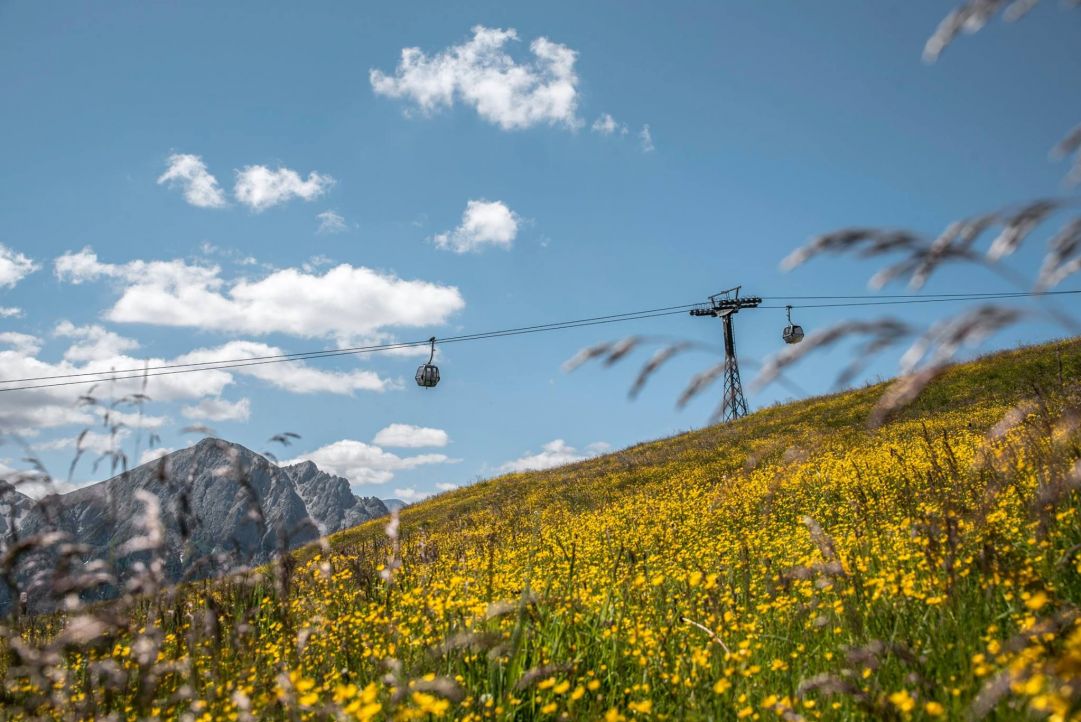 dolomiti