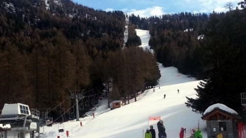 Col de Joux, 1000 piante da abbattere per ampliare il comprensorio