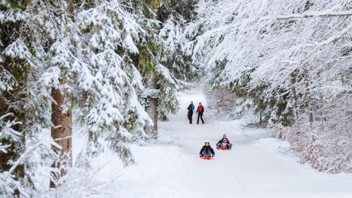Otto esperienze invernali da vivere in Dolomiti Paganella