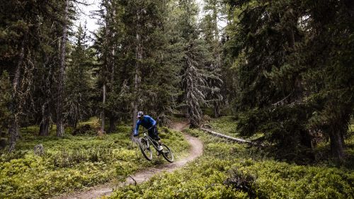 Tracciato Les Fleurs&ndash;Aosta 