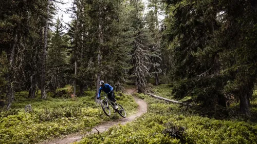 Tracciato Les Fleurs–Aosta 
