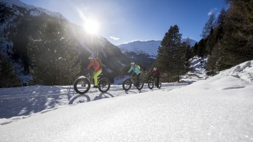 Fat bike e sleddog, le esperienze invernali più affascinanti da vivere a Bormio